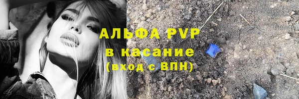 сатива Каменск-Шахтинский