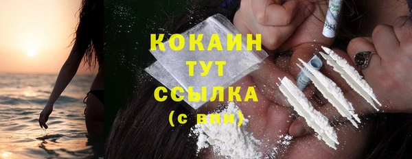сатива Каменск-Шахтинский
